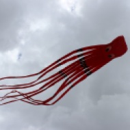 Octopus kites