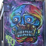 Colourful skull