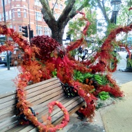 Octopus, Sloane Square